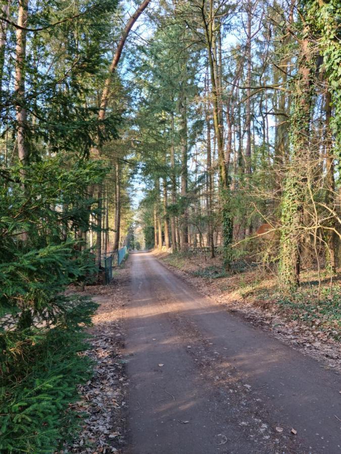 Waldhaus Doetlingen Ferienhaus Im Naturpark 外观 照片