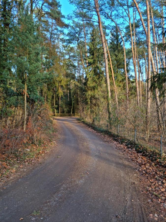 Waldhaus Doetlingen Ferienhaus Im Naturpark 外观 照片